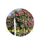 薔薇でありがとう（個別スタンプ：4）