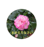 薔薇でありがとう（個別スタンプ：5）