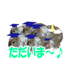 うさぎの一日2（個別スタンプ：5）