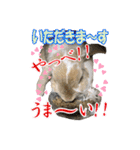うさぎの一日2（個別スタンプ：6）