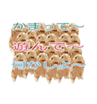 うさぎの一日2（個別スタンプ：8）