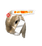 うさぎの一日2（個別スタンプ：10）
