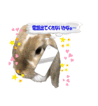 うさぎの一日2（個別スタンプ：11）