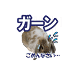 うさぎの一日2（個別スタンプ：13）