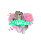 うさぎの一日2（個別スタンプ：14）