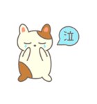 ほんわか猫の1日（個別スタンプ：8）