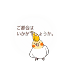 「オカメインコでございます。」（個別スタンプ：6）