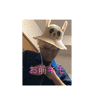 汎用性でしかないやつ3（個別スタンプ：1）