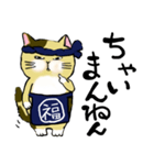 大阪弁猫（個別スタンプ：13）