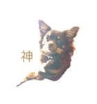 チャコ・チョコタン（個別スタンプ：11）