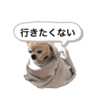 もちもちきなこ（個別スタンプ：9）