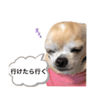 もちもちきなこ（個別スタンプ：10）