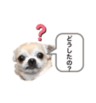 もちもちきなこ（個別スタンプ：14）