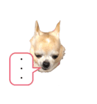 もちもちきなこ（個別スタンプ：18）