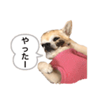 もちもちきなこ（個別スタンプ：23）
