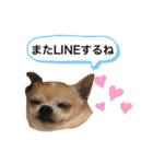 もちもちきなこ（個別スタンプ：34）
