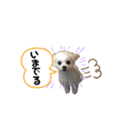 らんまるちゃん。（個別スタンプ：2）