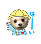 らんまるちゃん。（個別スタンプ：7）