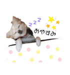 ココクレ✩スタンプ（個別スタンプ：2）