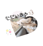 ココクレ✩スタンプ（個別スタンプ：5）