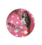 ココクレ✩スタンプ（個別スタンプ：14）