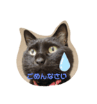 吉之助ときなこ0515（個別スタンプ：3）