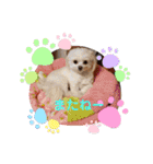 LUNA＆SEAちゃん母の日とコロナ禍の会話～！！（個別スタンプ：18）