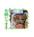 LUNA＆SEAちゃん母の日とコロナ禍の会話～！！（個別スタンプ：34）