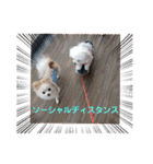 LUNA＆SEAちゃん母の日とコロナ禍の会話～！！（個別スタンプ：37）