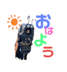 37期 その2（個別スタンプ：34）