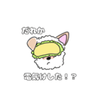 ぽんくんだよ（個別スタンプ：12）