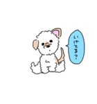 ぽんくんだよ（個別スタンプ：14）