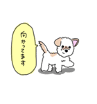 ぽんくんだよ（個別スタンプ：17）