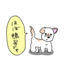 ぽんくんだよ（個別スタンプ：18）