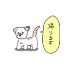 ぽんくんだよ（個別スタンプ：20）