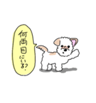 ぽんくんだよ（個別スタンプ：21）