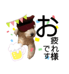 レイクランドテリアのスタンプ！日常編♡（個別スタンプ：12）