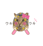 キキくんといっしょ（個別スタンプ：8）