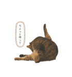 キキくんといっしょ（個別スタンプ：14）