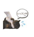 キキくんといっしょ（個別スタンプ：15）