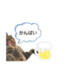 キキくんといっしょ（個別スタンプ：17）