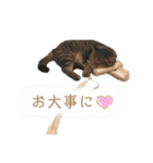 キキくんといっしょ（個別スタンプ：20）