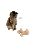 キキくんといっしょ（個別スタンプ：21）