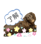 うにちゃんかるびちゃん（個別スタンプ：10）