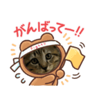 あんこもちの気持ち❣️（個別スタンプ：8）