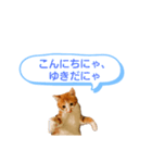 ねこゆきすたんぷ（個別スタンプ：1）