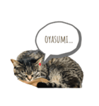 CONYAN.vo2（個別スタンプ：3）
