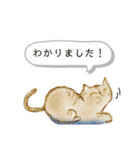 猫ねこネコたちのあいさつ（個別スタンプ：15）