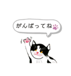 猫ねこネコたちのあいさつ（個別スタンプ：17）