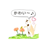 猫ねこネコたちのあいさつ（個別スタンプ：24）